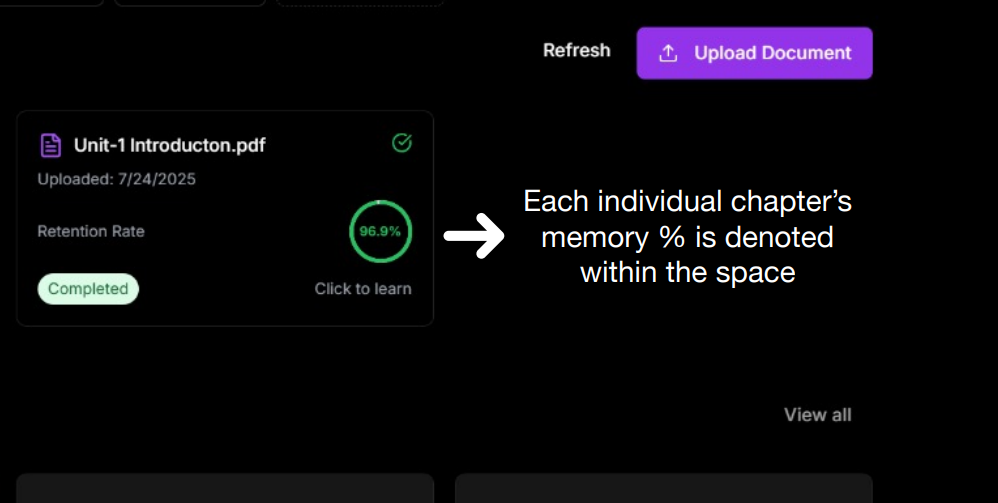 Memory Decay Warning System - Document Management Interface