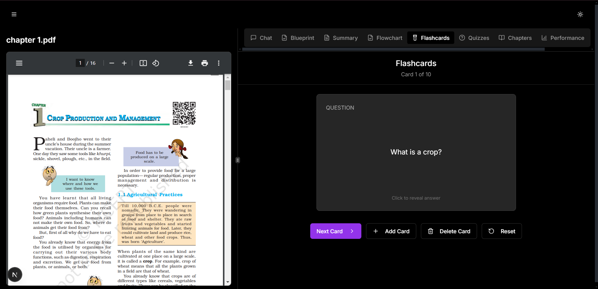 Flashcards Feature